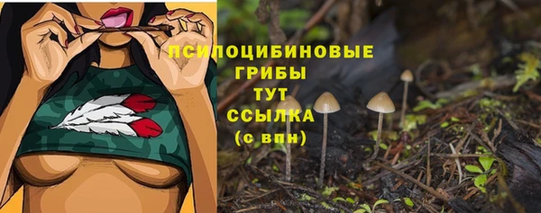 мескалин Абаза