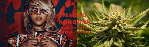 гашик Алексеевка